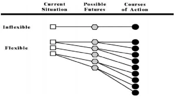 Figura 3 - Flexibilidade de acordo com Alberts e Hayes (2005) 