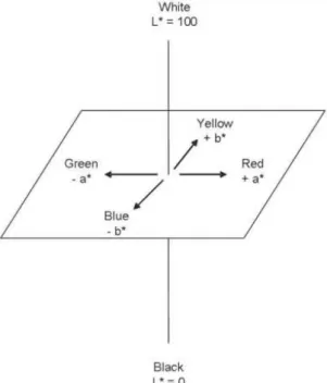 Figura 1. Significado geométrico das coordenadas do sistema CIE L*a*b (Adaptado de  Brook, Smith &amp; Lath, 2007) 