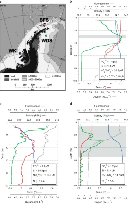Figure 1 Sampling locations and physico-chemical conditions. (a) Map of the Antarctic Peninsula showing the locations for metatranscriptome sampling in the BFS (red), the WDS (green), and the WKI/Bellingshausen Sea (blue)
