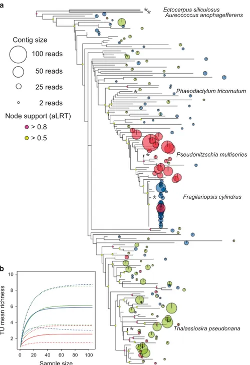 Figure 2 (a) Maximum likelihood (ML) phylogenetic analysis of diatoms from the western Antarctic Peninsula/WDS communities;