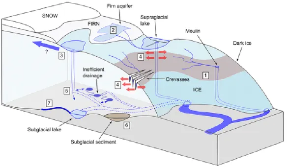 Figure 1.2. Schematic illustration of glacier drainage system with land-terminating ice sheet, high- high-lighting the main meltwater pathways and stores in the hydrological system
