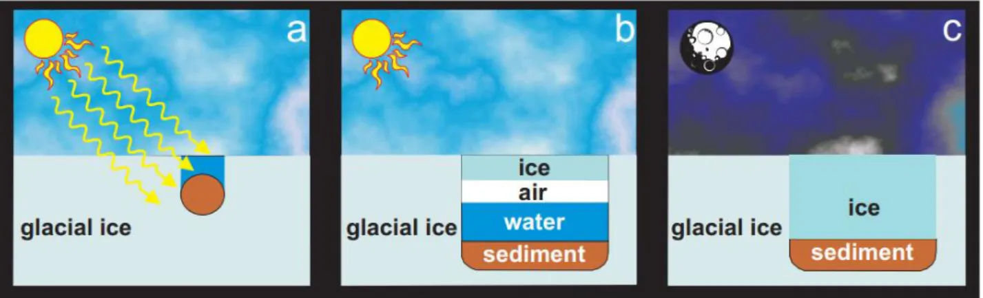 Figure 1.6. Cryoconite hole formation and behaviour in different seasons. In summer, sedi- sedi-ment accumulates on glacial surfaces, and exposure to solar irradiation produces (a) melt  pools within the ice, which may subsequently freeze on the surface wi