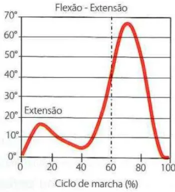 Figura 2.7 – Representação gráfica dos valores típicos do ângulo inter-segmentar do joelho,  durante o ciclo de marcha no plano sagital (adaptado de [7])
