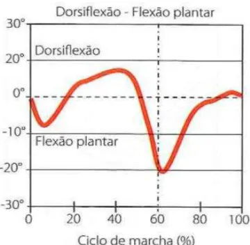 Figura 2.8  –  Representação gráfica dos valores típicos do ângulo inter-segmentar do tornozelo, durante o  ciclo de marcha no plano sagital (adaptado de [7]).