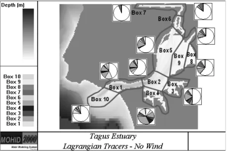 Figure 3: Integrated contribution in each box after 30 days of simulation. The white part represents the  freshwater (either river or seawater)