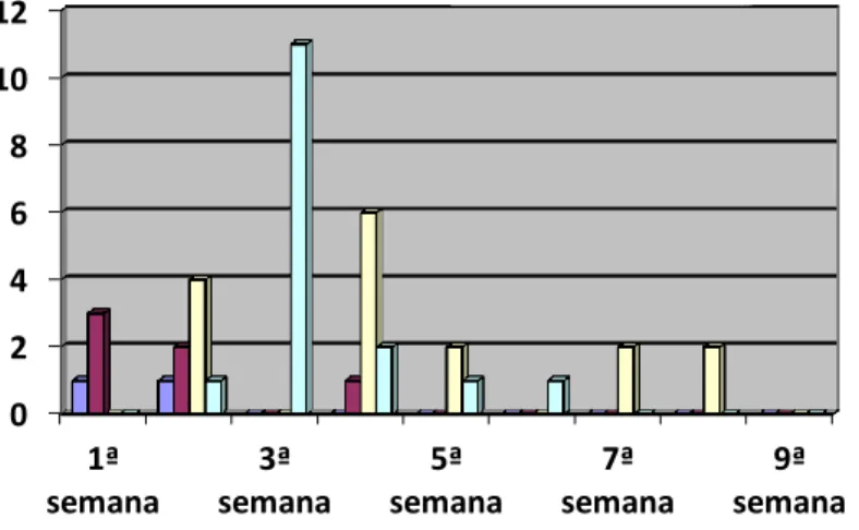 Gráfico 2- mensagens da orientadora acadêmica/professor formador - Polo 1  