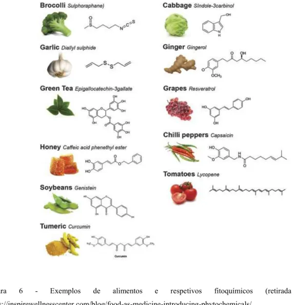 Figura  6  -  Exemplos  de  alimentos  e  respetivos  fitoquímicos  (retirada  de: 