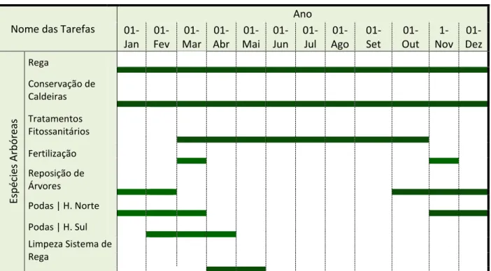 Tabela 3  – Plano de Manutenção para espécies arbóreas 