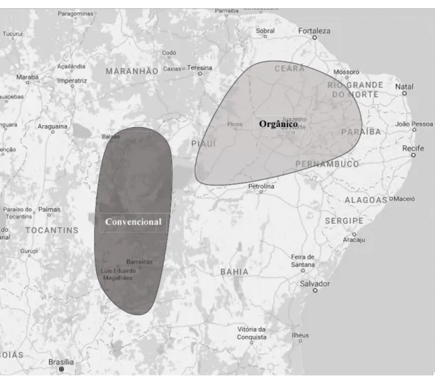 Figura 1 – Áreas de incidência da cotonicultura convencional e da orgânica no Nordeste