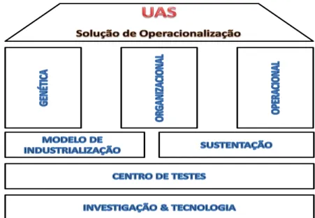 Figura nº2 – Dimensões de análise da Solução de Operacionalização 