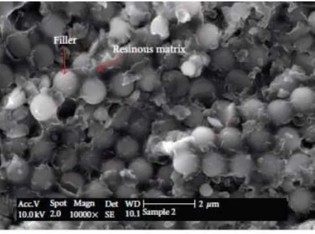 Figura 1 - Composição das resinas compostas através de microscopia eletrónica de varrimento (adaptado  de Schneider et al., 2010)  