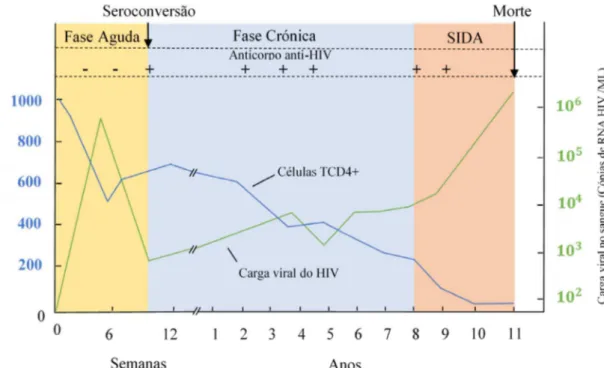 Figura 4: História natural da Infeção por HIV. Adaptado de A.Fauci et al. (1996)