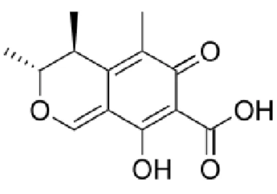 Figura 2: Representação molecular da citrinina (adaptado de Filho et al. (2017) (2017))