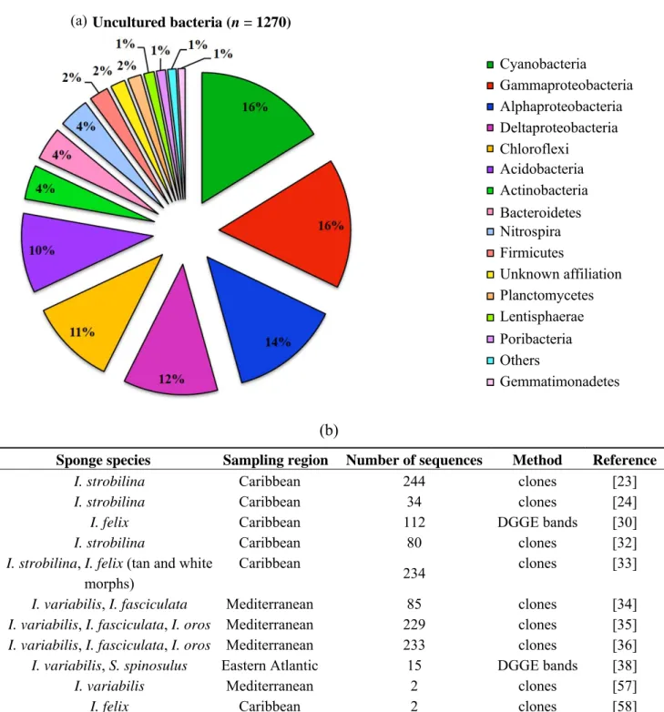 Figure 4. Phylum-level classification of bacteria detected in Irciniidae sponges by  cultivation-independent (a) and cultivation-dependent (c) 16S rRNA gene surveys, and  their respective metadata (b,d); the analysis covers all sequences available at NCBI 