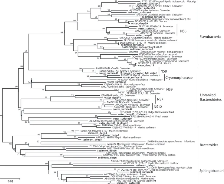 FIG. 4. Neighbor-joining phylogeny of Smeerenburg Fjord Bacteroides phylotypes, based on an ⬃ 1,200-bp alignment of bacterial 16S rRNA sequences