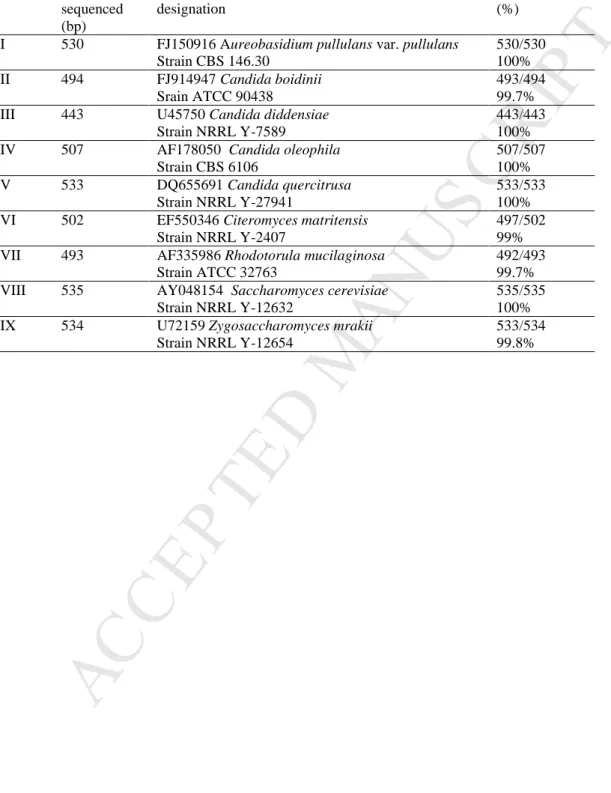 Table  2    Results  of  the  comparison  of  the  isolate  sequences  with  those  present  in  GeneBank  from NCBI database (ATCC- American Type Culture Collection, USA;  CBS- Centraalbureau  voor Schimmelcultures, Nederland ; NRRL- Agricultural Research