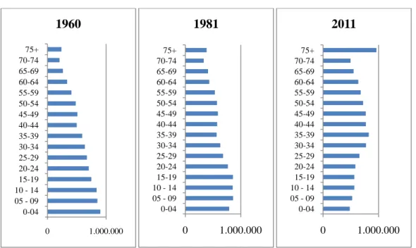 Figura 6. Distribuição da população portuguesa em 1960, em 1981 e em 2011, por  grupos etários e por sexo 