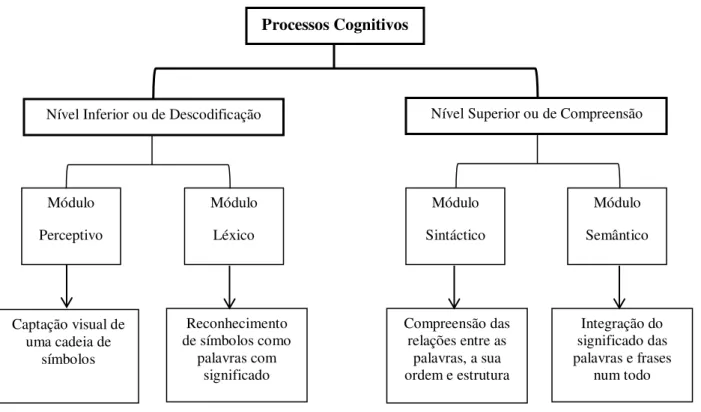 Figura 3  –  Relação entre os processos cognitivos inerentes à função leitora. 