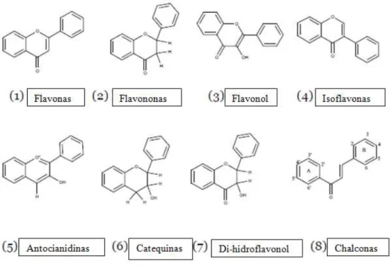 Figura 5  –  Classes de flavonóides. Adaptado de Sandhar &amp; et al., 2011. 