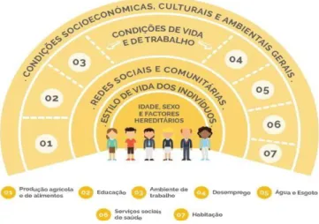 Figura 1: Modelo de Dahlgren &amp; Whitehead (1991)    