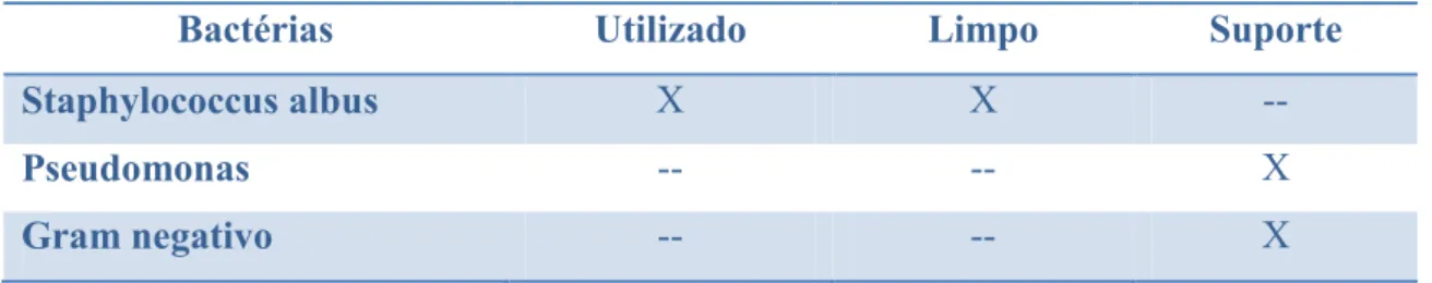 Tabela 2  – Tipo de bactérias encontradas nos diferentes grupos