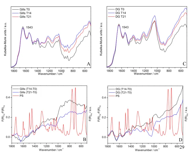 Figure 4. Comparison of the average DRIFT spectra in the 1800-450 cm -1  region for gills (A) and digestive gland (C)  of S