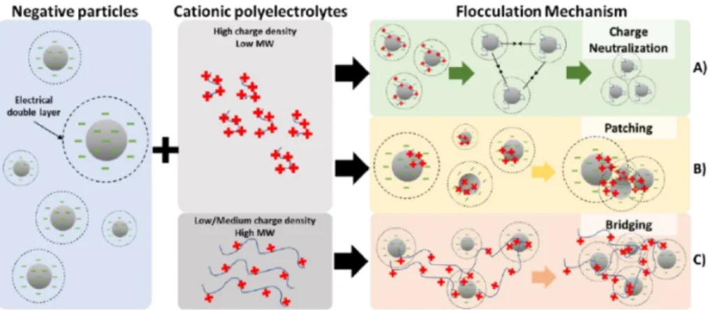 Figure 10. Illustration of the hypothetic flocculation mechanisms occurring among negatively charged  particles and cationic polyeletrolytes: (A) charge neutralization, (B) patching and (C) bridging