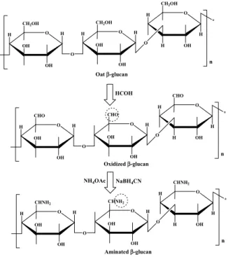 Figure 11. Schematic representation of reductive amination of b-glucans. Taken from reference [74] 