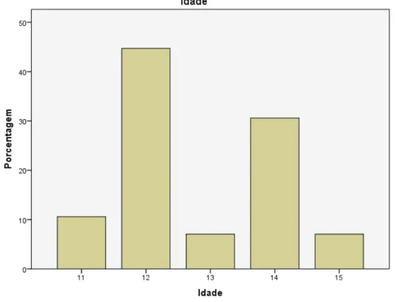 Gráfico 1: Distribuição de frequências da amostra em relação à idade 