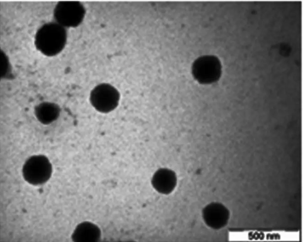 Figure 1. TEM microphotographs of nanoparticles Click here to download high resolution image