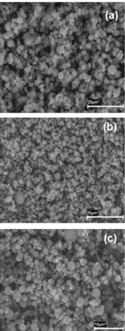 Figure 4. SEM microphotographs of microencapsulated chitosan/hya Click here to download high resolution image