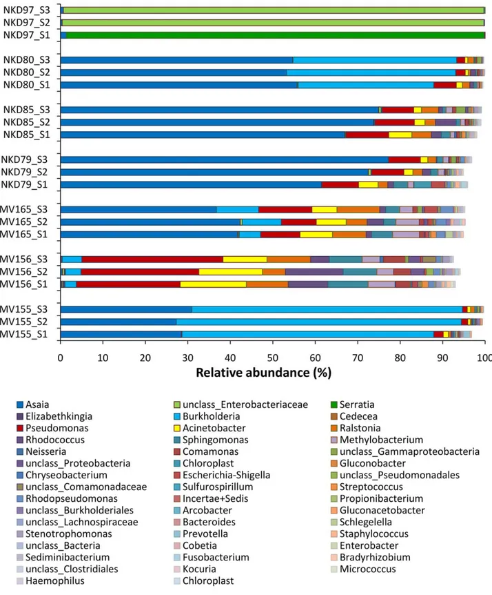 Figure 1. Comparison of bacterial diversity for the three 16S libraries at the genus level