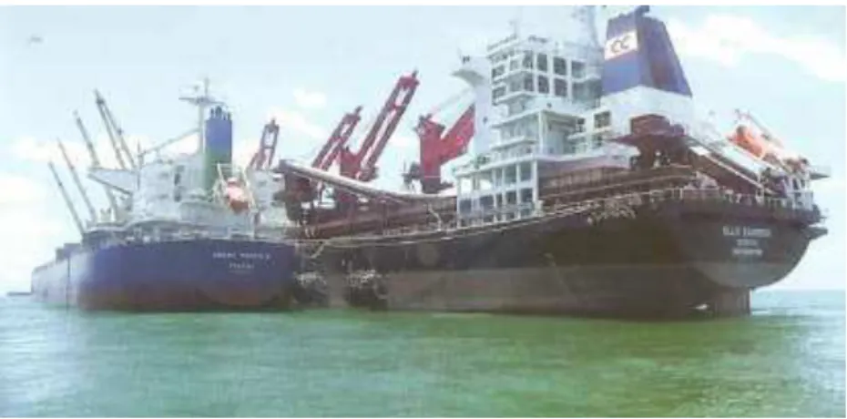 Figura 4.8:Navios Bulk Zamezi e Bulk Limpopo 