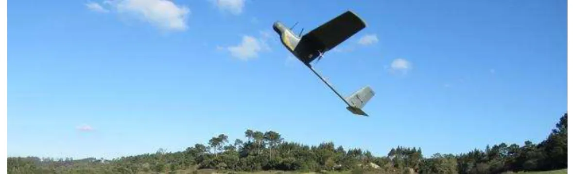 Figura 10- Mini-UAV  AR4 Light Ray Fonte: (TEKEVER, 2012a) 