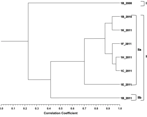 Fig. 1    Dendrogram obtained by  cluster analysis of the  percent-age composition of volatiles  from Água-mel samples based  on correlation and using  UPGMA