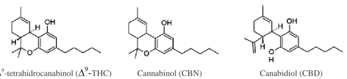 Figura 3  –  Estrutura química dos três principais cannabinóides  (Alves et al., 2012)
