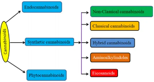 Figura 4- Classificação dos canabinóides (Chakravarti et al., 2014).