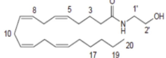 Figura 7- Representação química da Oleamida  (Chakravarti et al., 2014). 