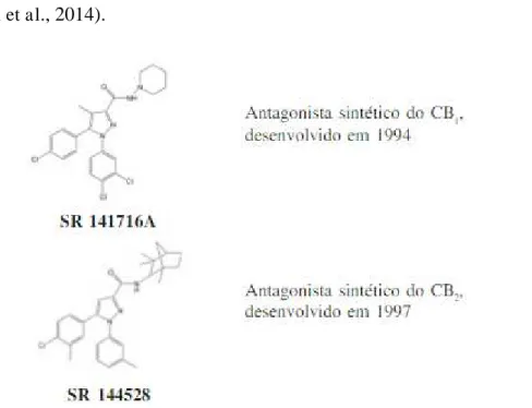 Figura 16- Exemplo de alguns canabinóides sintéticos que funcionam como antagonistas dos  recetores canabinóides (Honório, Arroio, &amp; Silva, 2006)