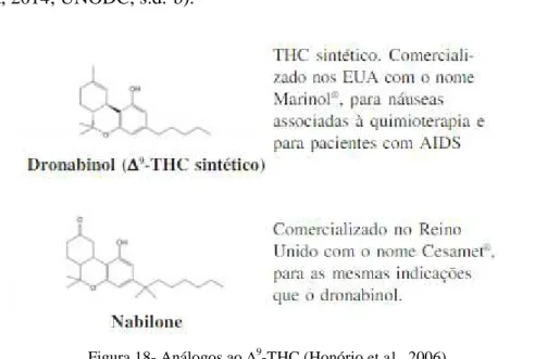 Figura 18- Análogos ao  ∆ 9 -THC (Honório et al., 2006).  