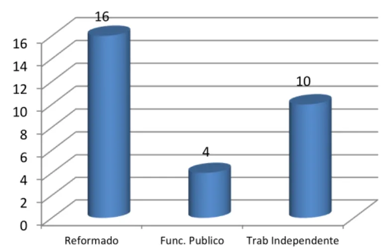 Gráfico 12 – Condição Profissional 