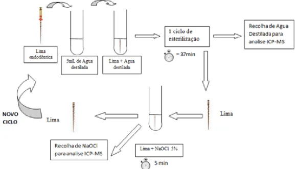 Figura 2: Protocolo de experimentação dos ciclos de esterilização 