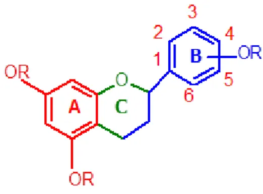 Figura 6  –  Estrutura dos flavonoides adaptado de (Ferreira &amp; Abreu, 2007) 
