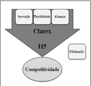 Ilustração 2- As Hipóteses na Clarex  