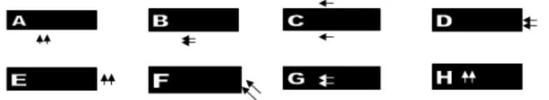 Figura 3. Aproximações direcionais à plataforma de  step ( A: pela frente; B: pelo  lado; C: a cavalo; D, E: pelo fim; F: pelo canto; e, G, H: pelo topo)