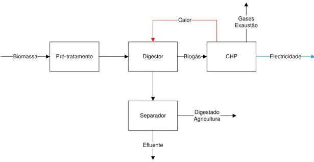 Figura 6  –  Diagrama esquemático do processo de digestão anaeróbio. 