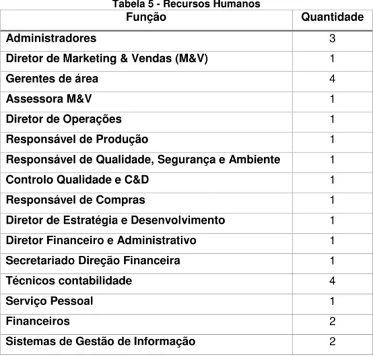 Tabela 5 - Recursos Humanos 