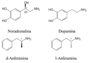 Figura 2 - Estruturas Químicas da Noradrenalina, Dopamina, d-Anfetamina  e l-Anfetamina