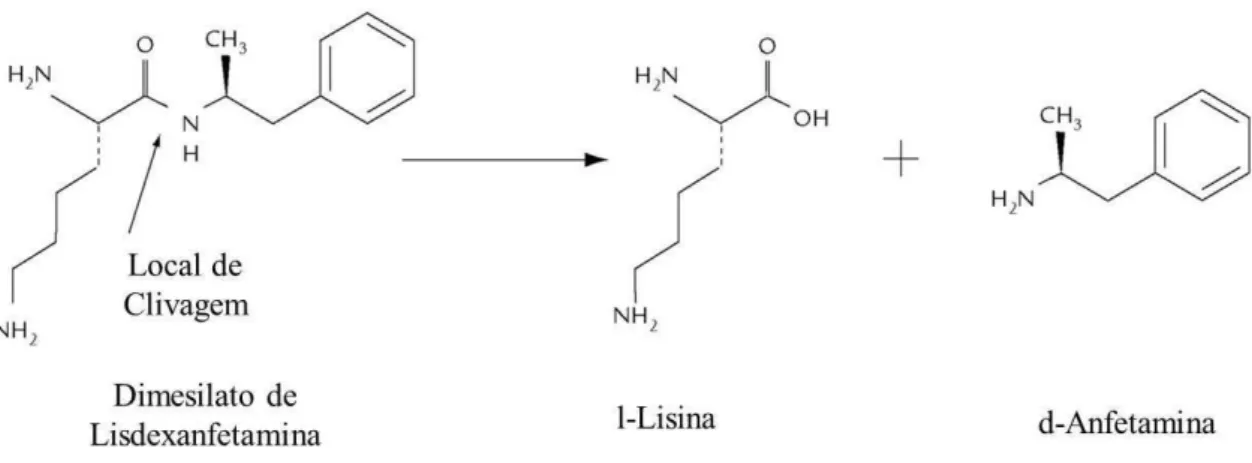 Figura 4. Dimesilato de lisdexanfetamina e produtos da sua hidrólise enzimática em  l-lisina e d-anfetamina