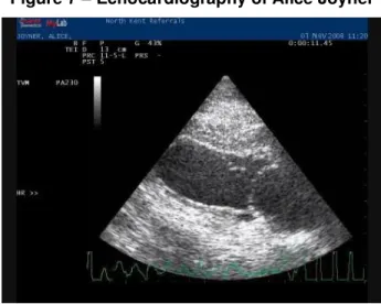 Figure 7 – Echocardiography of Alice Joyner 